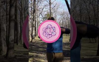 You’ll 🫶 throwing it, too #discgolf