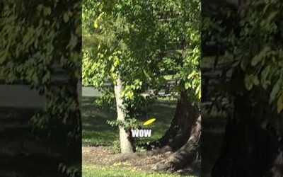 Are you ready for Lava Trespass?