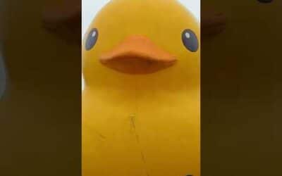 The World’s Largest Rubber Duck 🦆