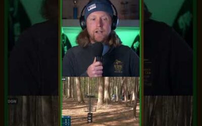 Holyn is the best player in the game on the fpo side