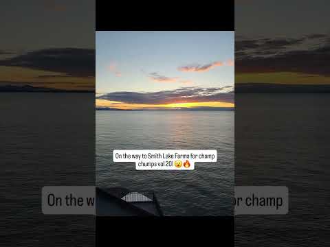 On the ferry en route to the amazing Smith lake farms for a disc golf camp and to film champ vs