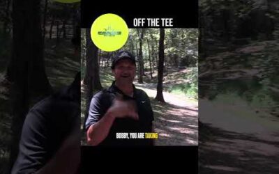 Can Bobby Park Hole 10 at Idlewild Disc Golf Course?